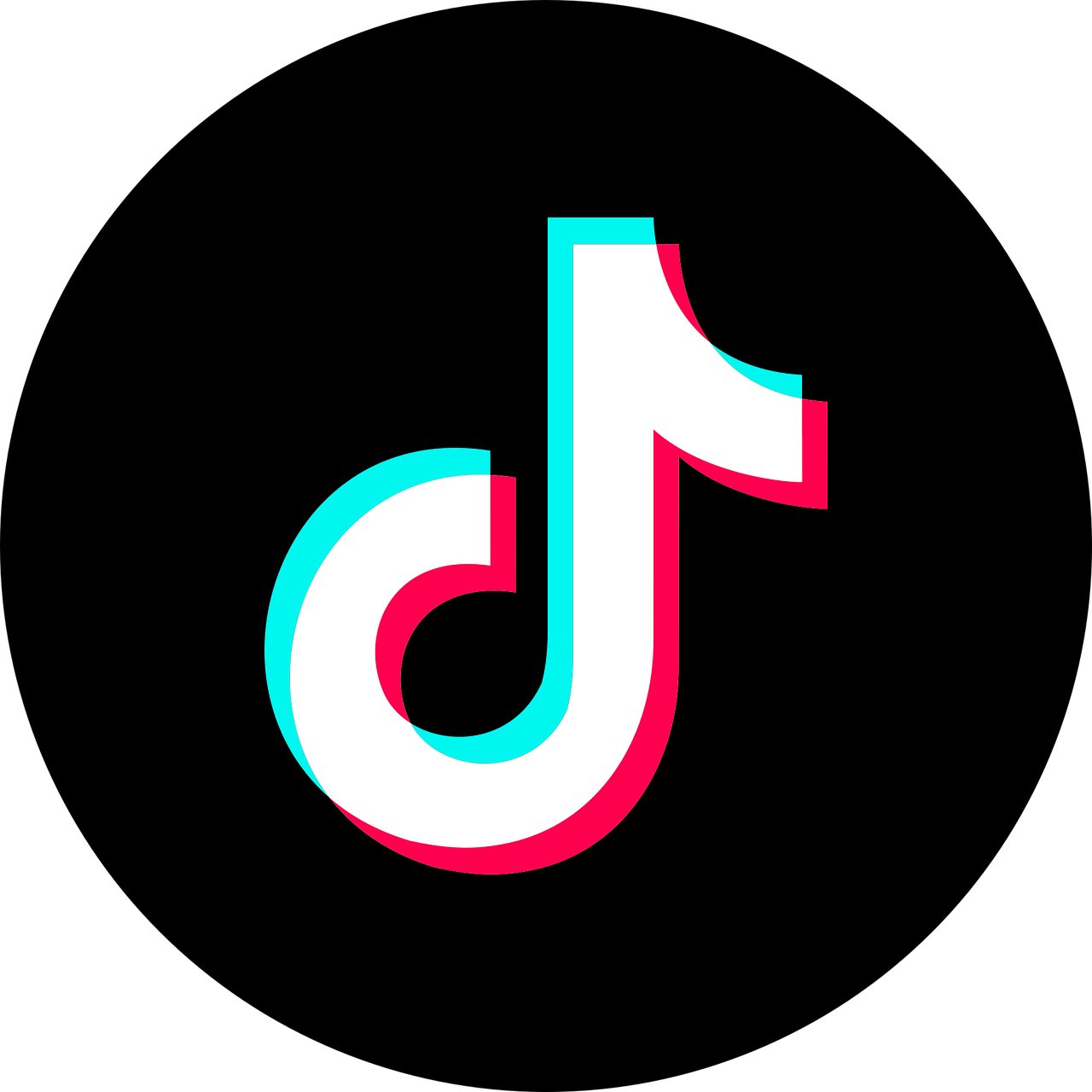 tik tok icon